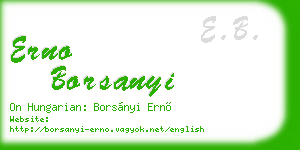 erno borsanyi business card